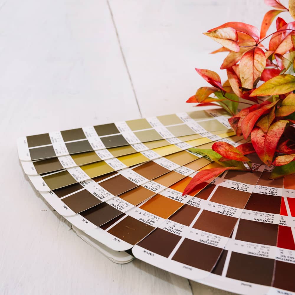Choosing the Perfect Color Palette